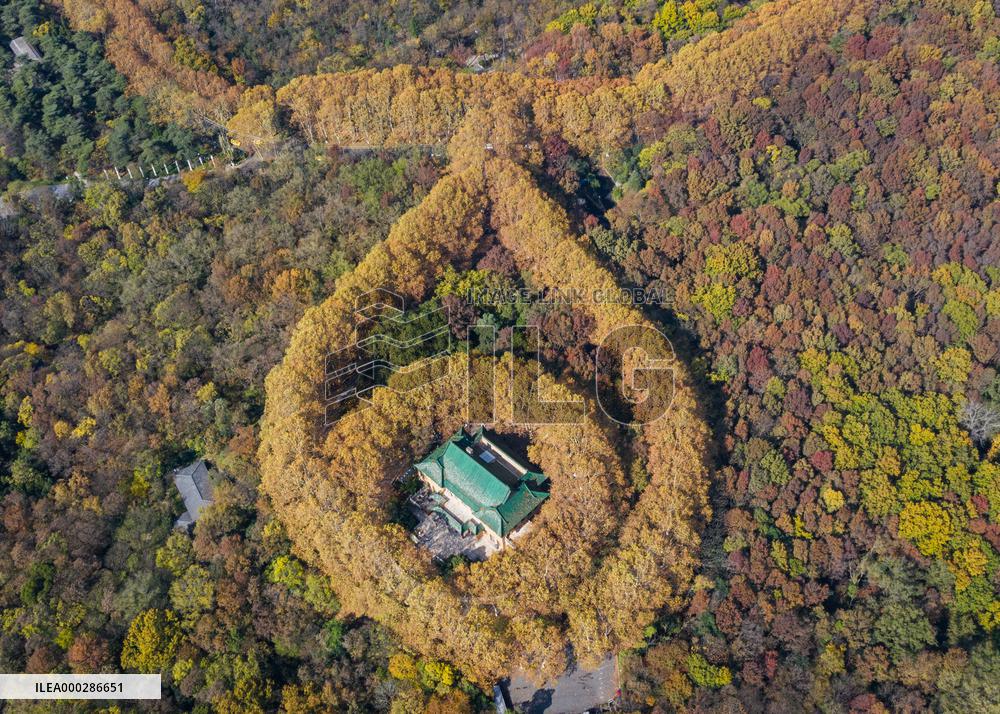 Aerial Meiling Palace