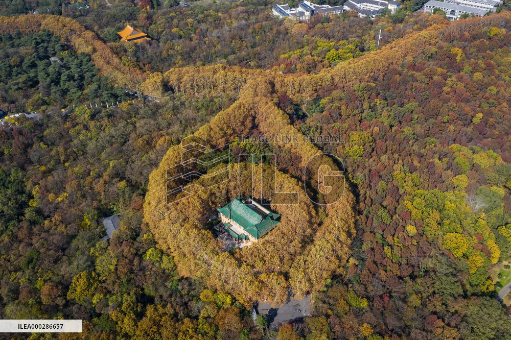 Aerial Meiling Palace