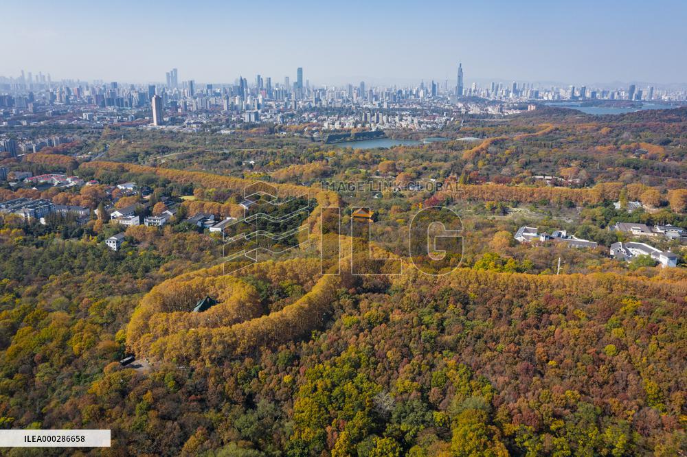 Aerial Meiling Palace