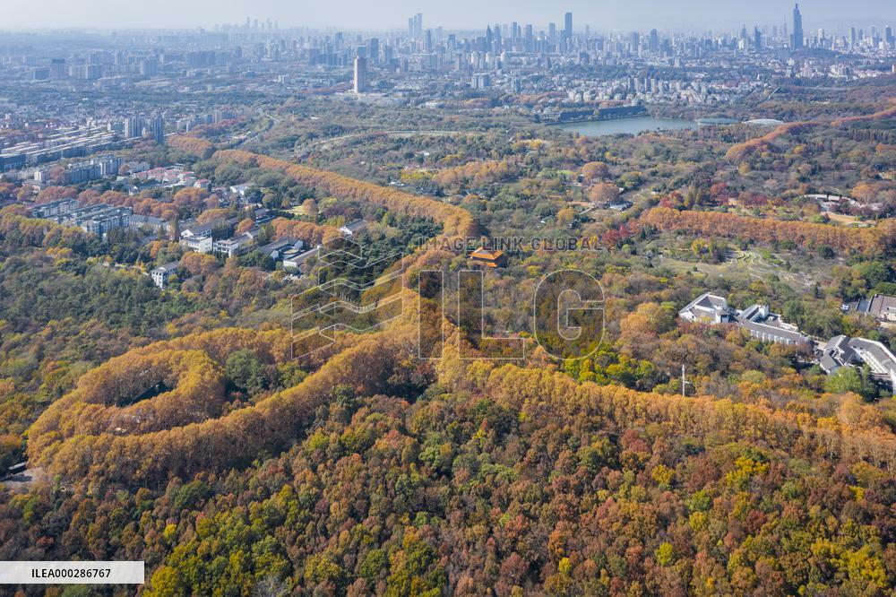 Aerial Meiling Palace