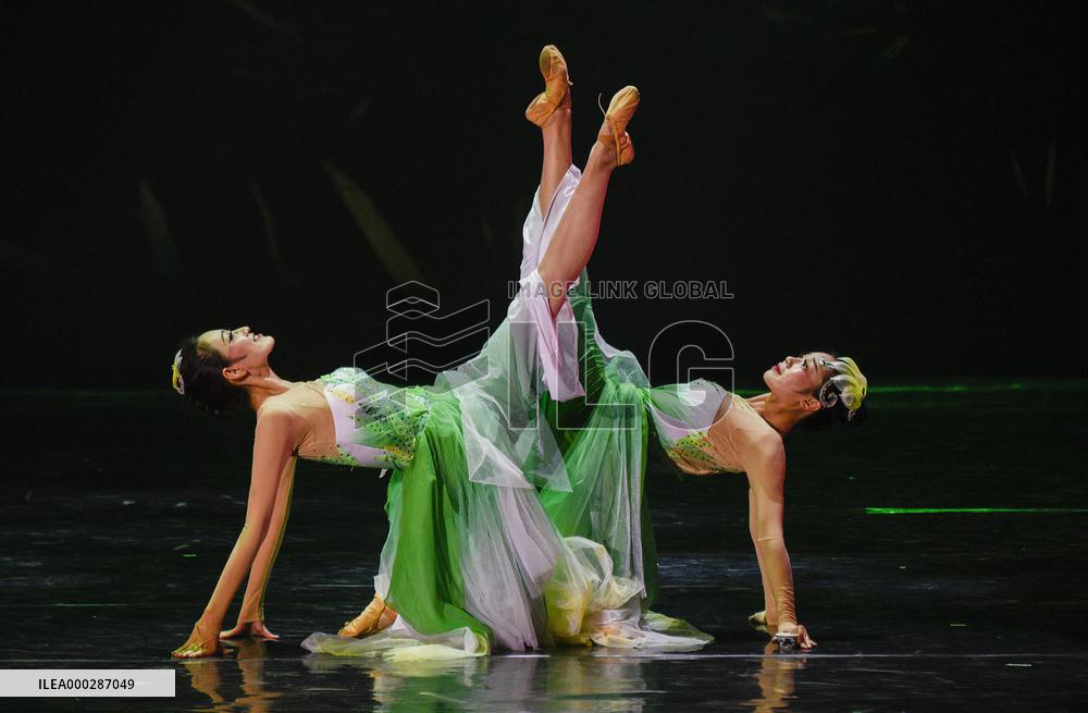 Traditional Culture Dance National Color