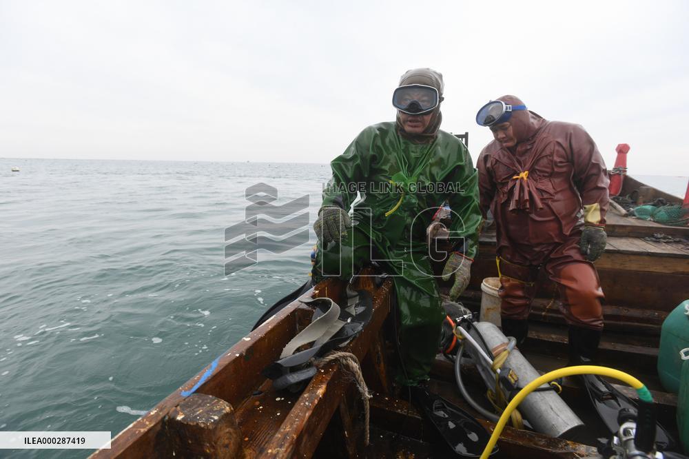 Sea Cucumber Fishing in 2020