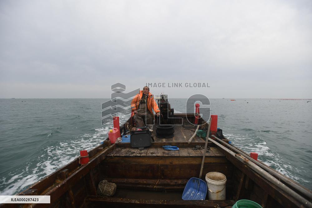 Sea Cucumber Fishing in 2020