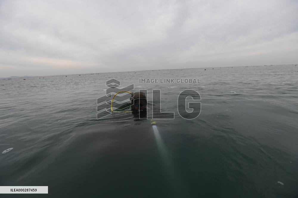 Sea Cucumber Fishing in 2020