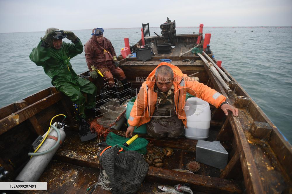 Sea Cucumber Fishing in 2020
