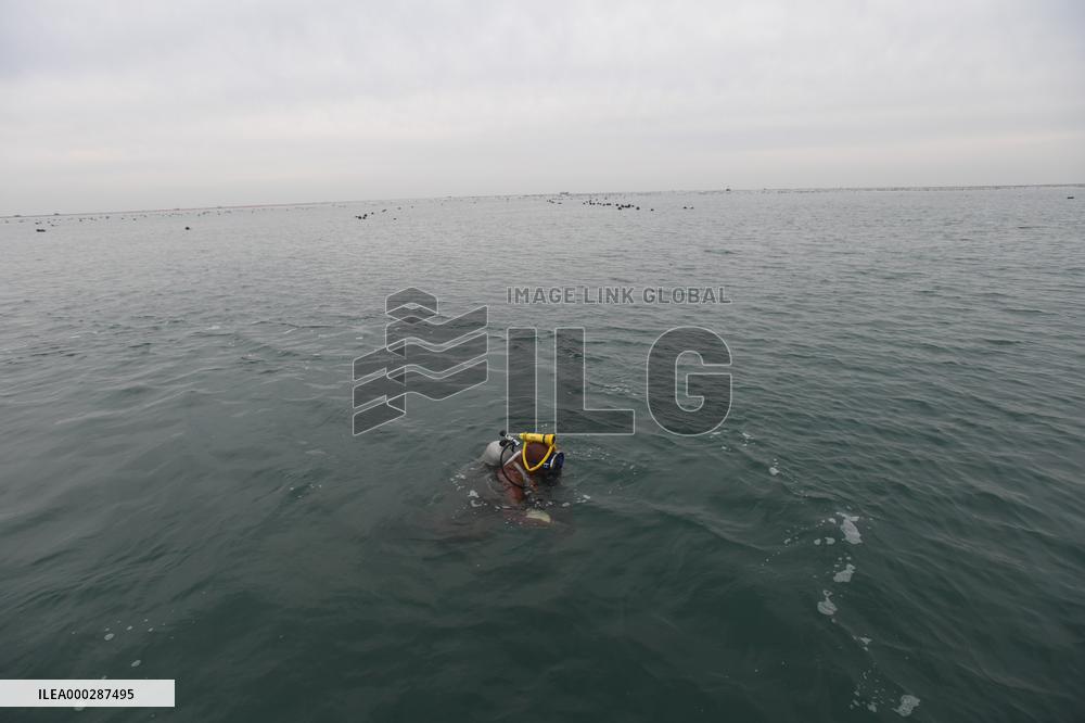 Sea Cucumber Fishing in 2020
