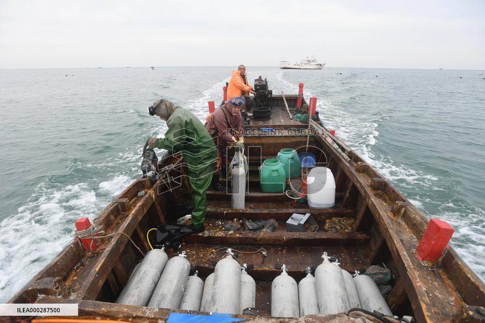 Sea Cucumber Fishing in 2020