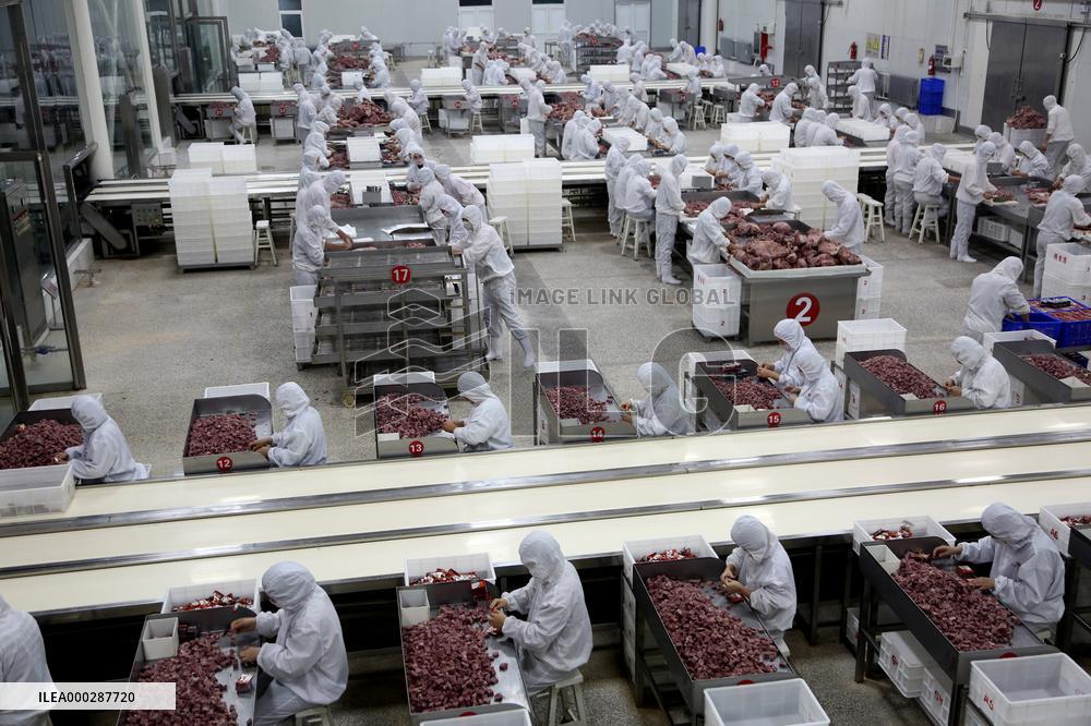 Animal Husbandry Industry