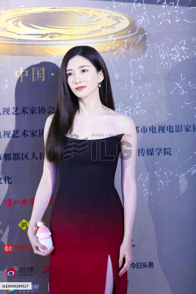 The 7th Red Carpet Show of Chinese TV Actors