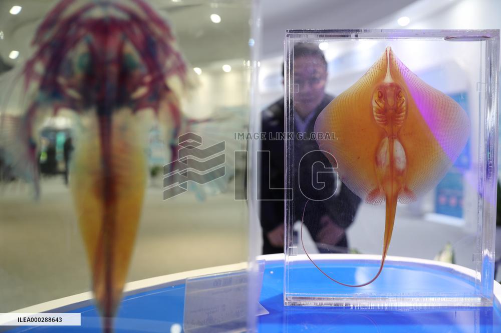 Qingdao Free Trade Zone