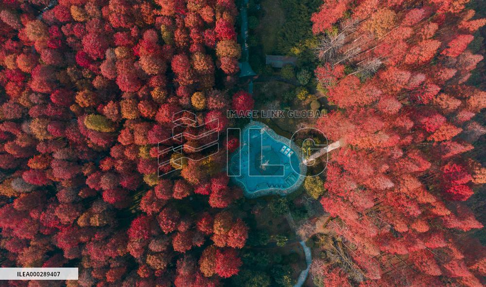 China Colorful Winter