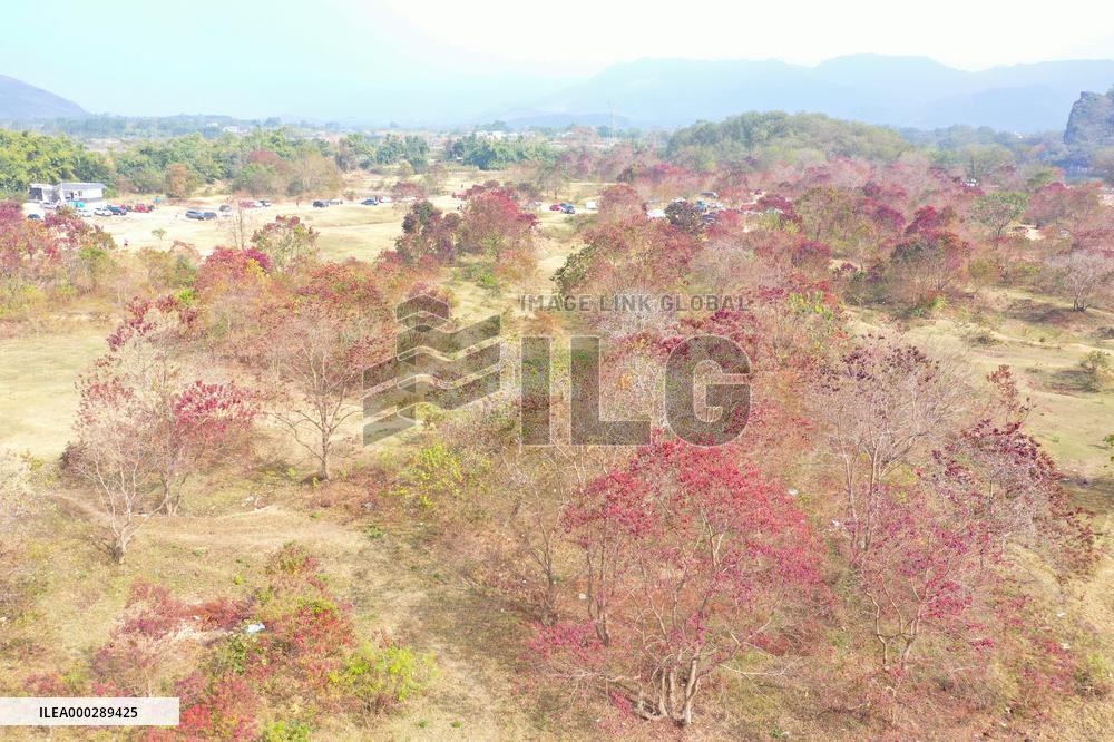 China Winter Weather