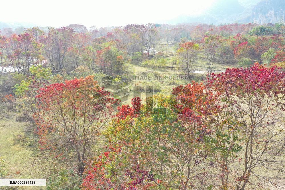 China Winter Weather