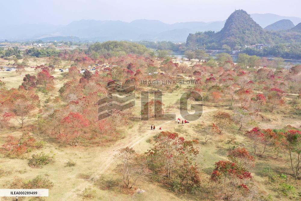 China Winter Weather