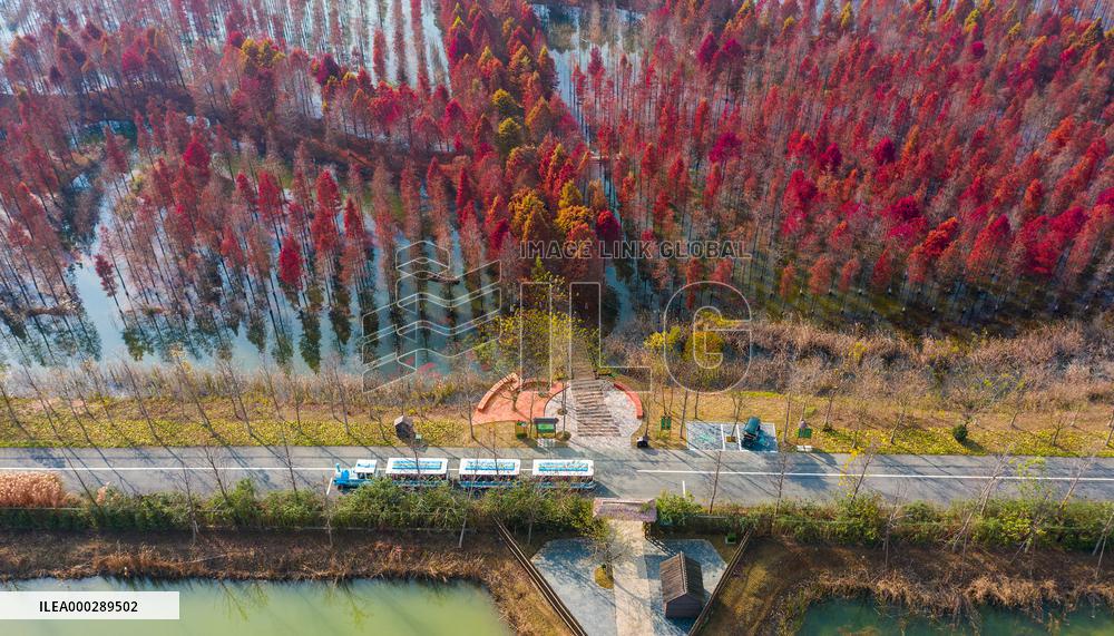 China Colorful Winter