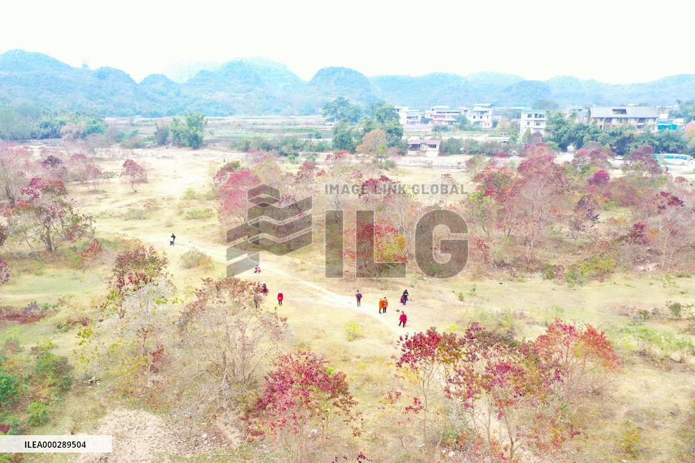 China Winter Weather