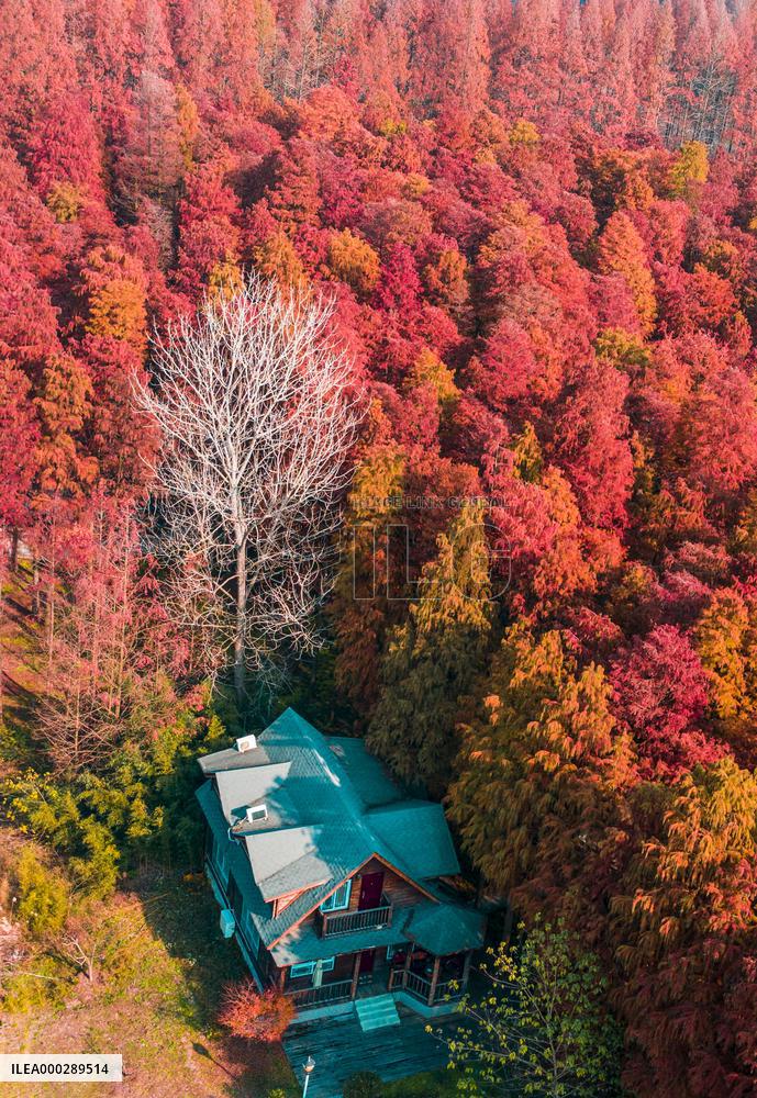 China Colorful Winter