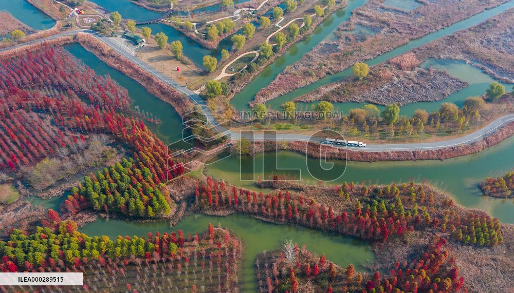 China Colorful Winter