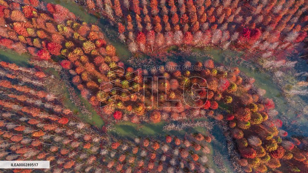 China Colorful Winter