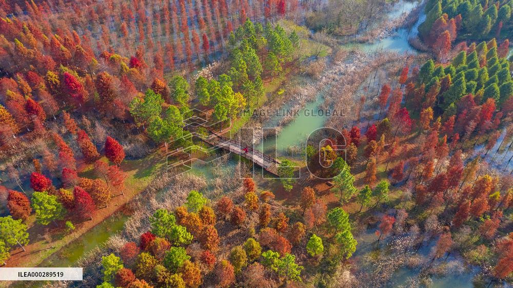 China Colorful Winter