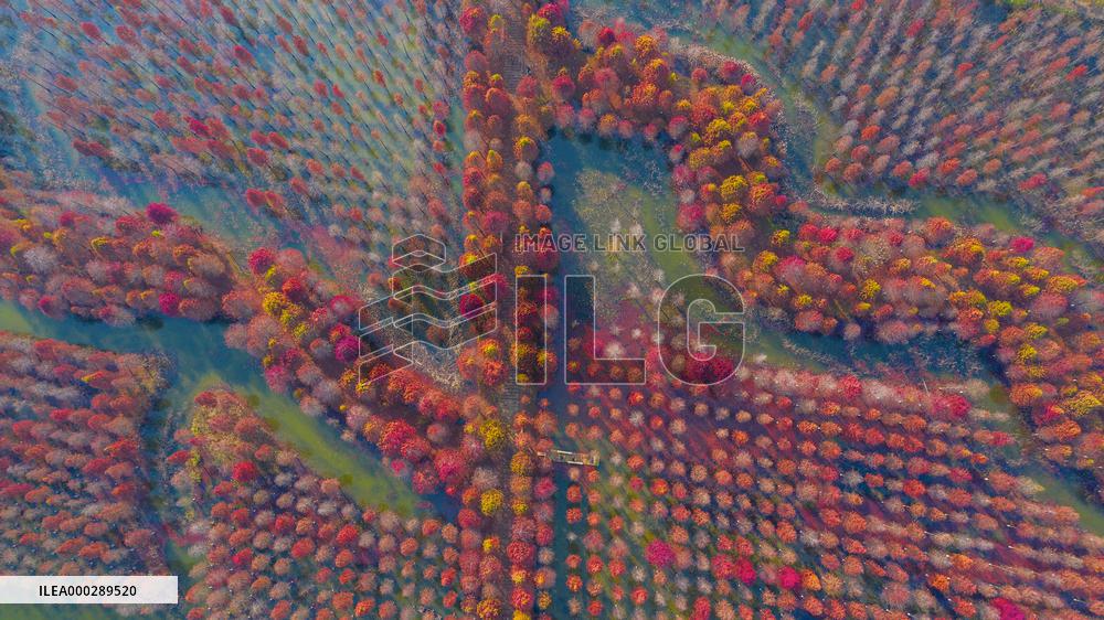 China Colorful Winter