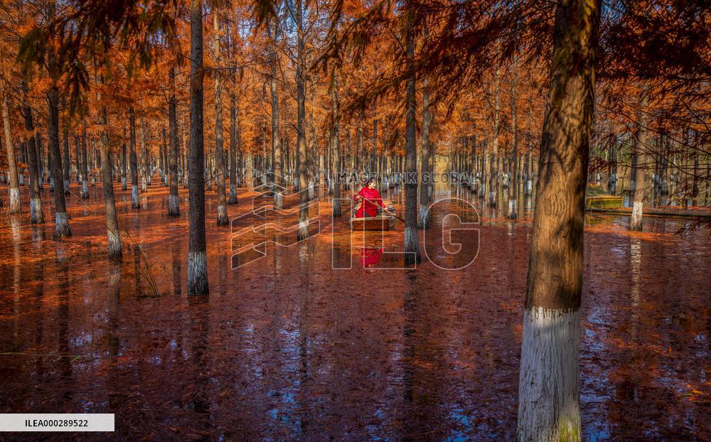China Colorful Winter
