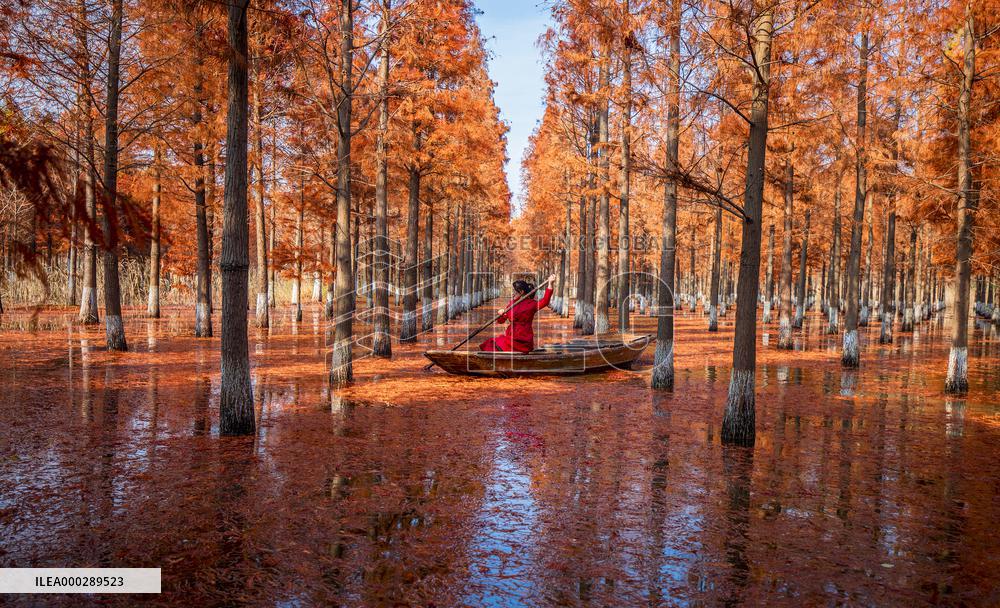 China Colorful Winter