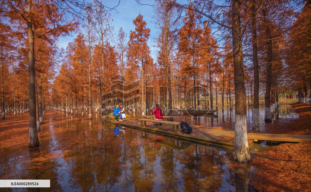 China Colorful Winter