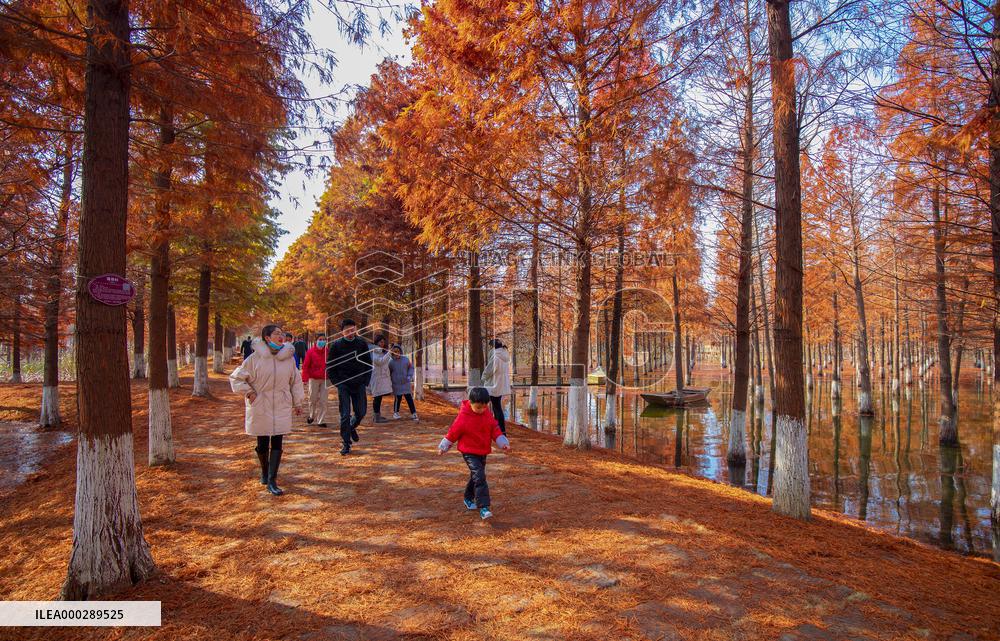 China Colorful Winter