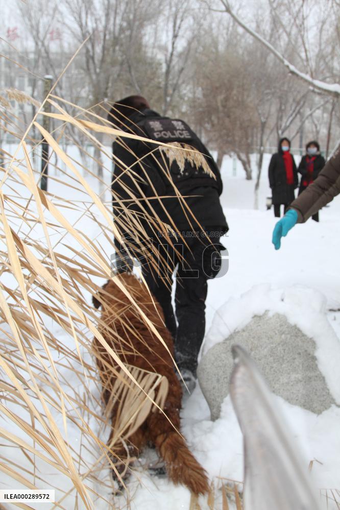 The Police Rescued The Golden Retriever