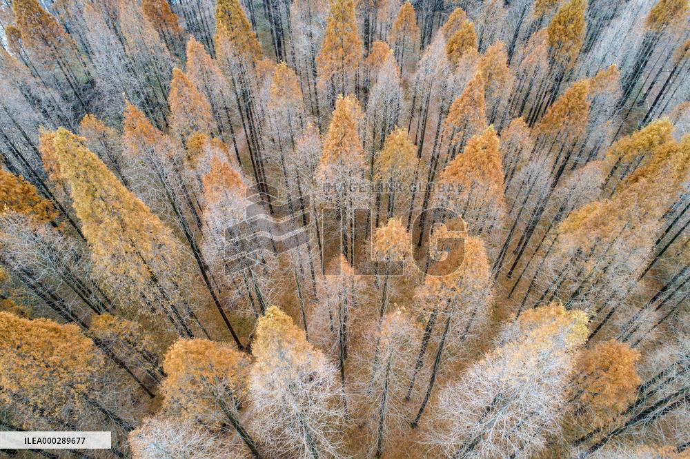 China Winter Weather