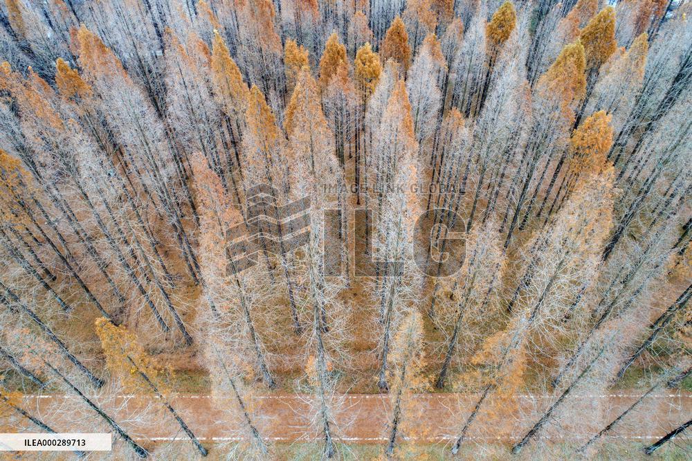 China Winter Weather