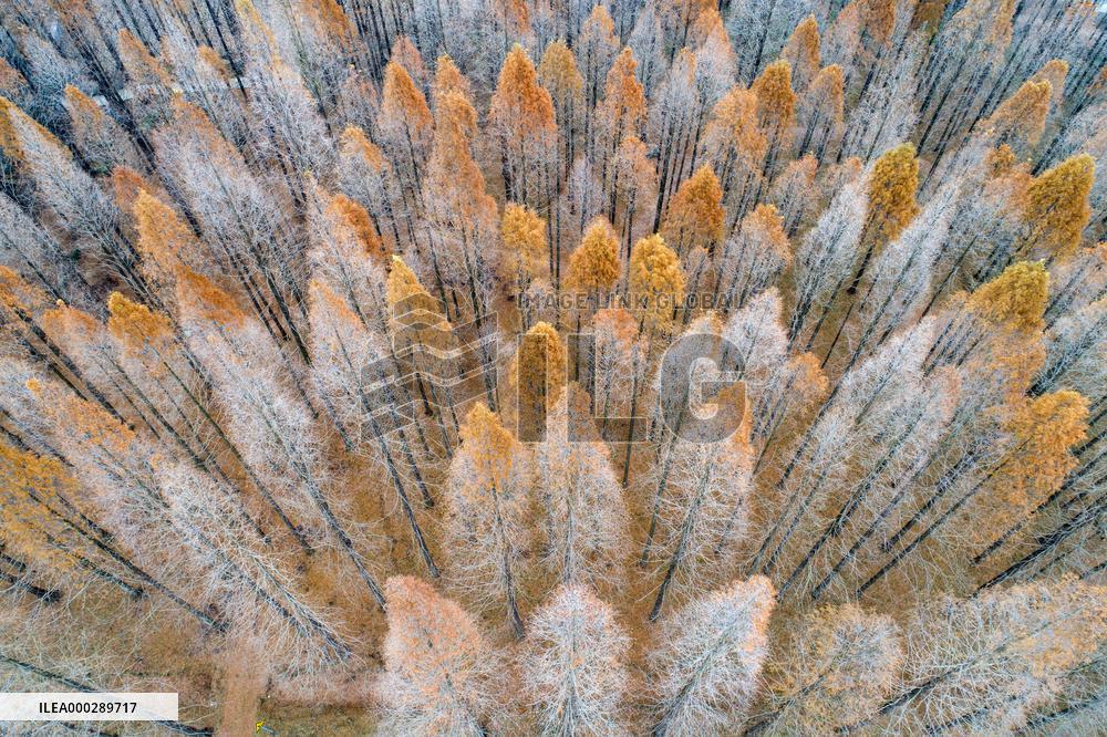 China Winter Weather