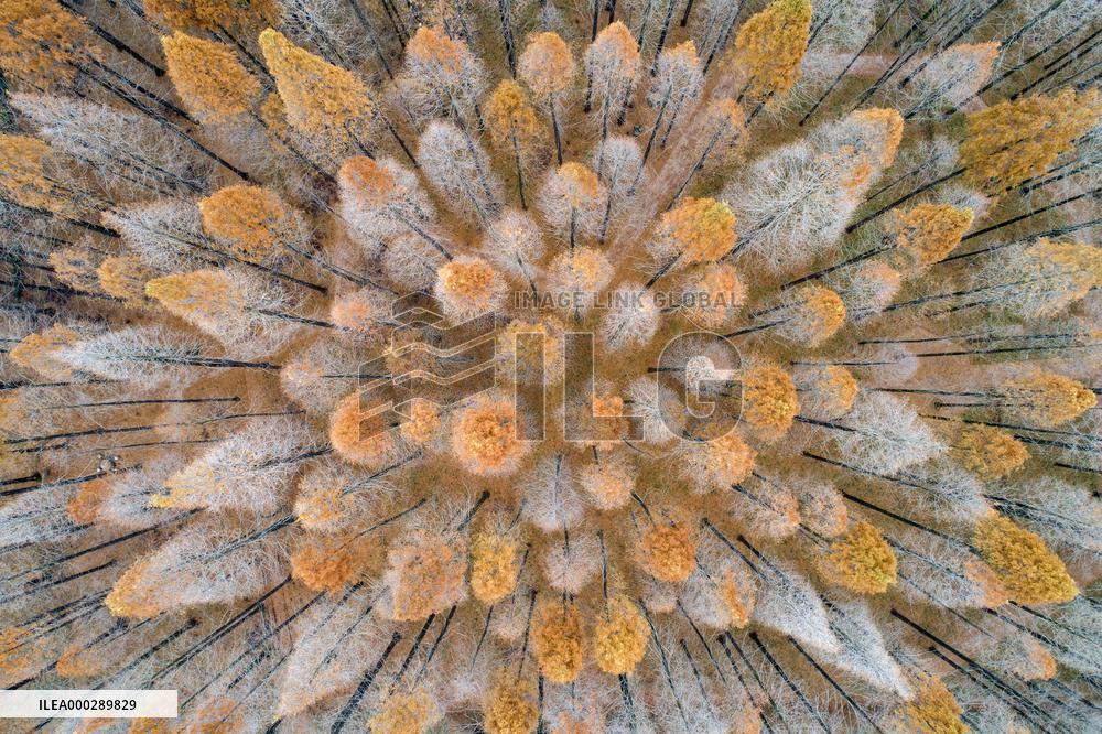 China Winter Weather