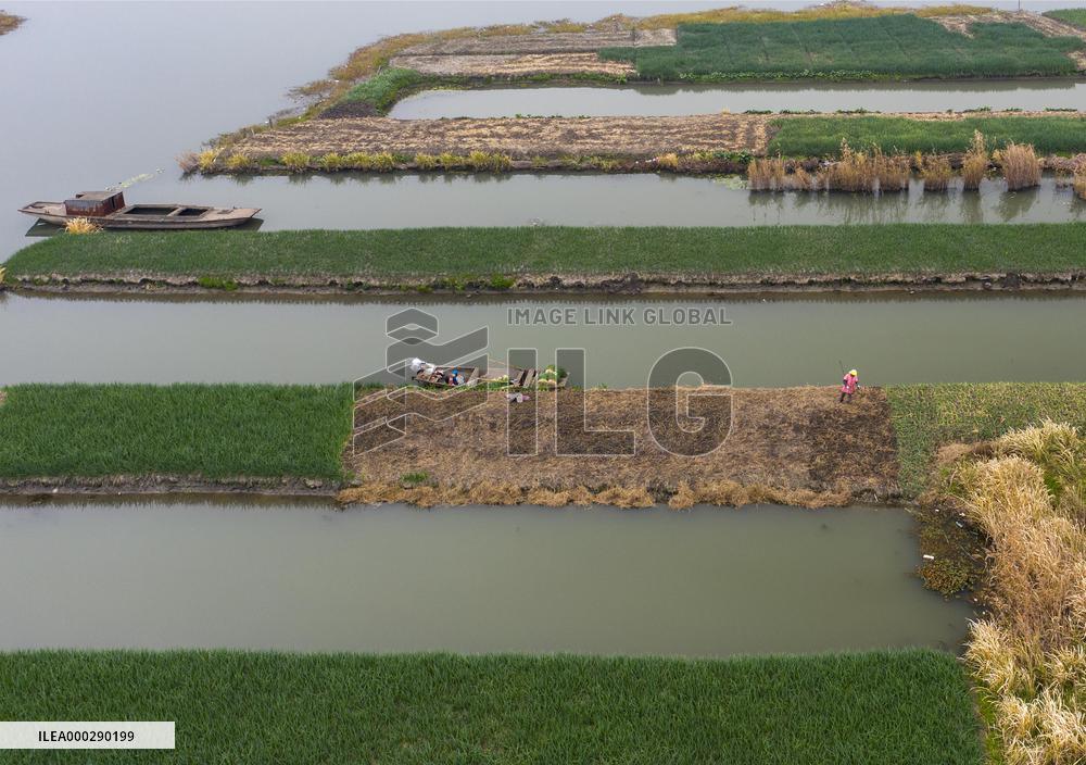 China Agricultural Harvest