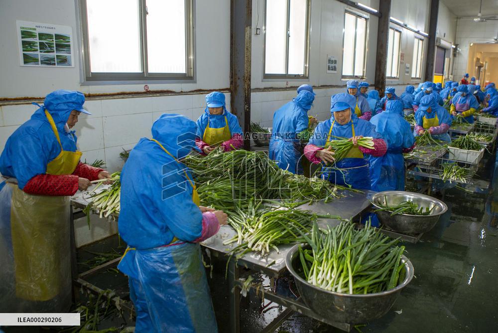 China Agricultural Harvest