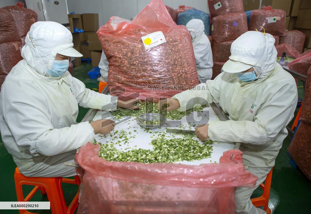 China Agricultural Harvest