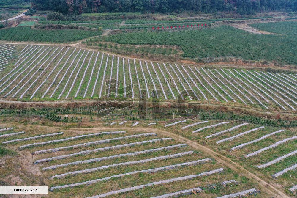 Winter Agricultural Products