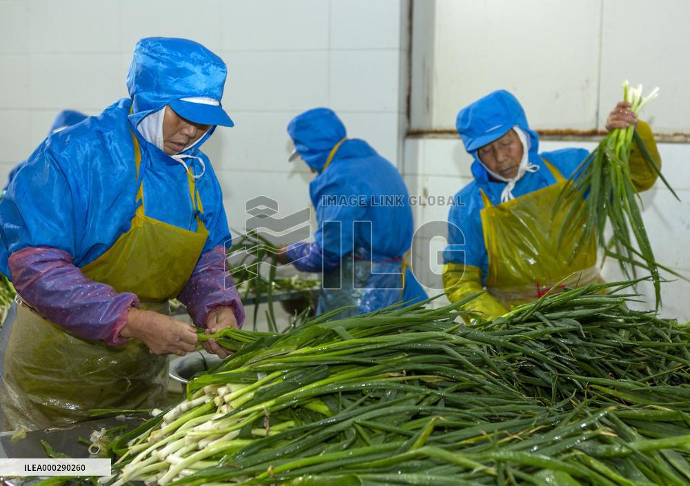 China Agricultural Harvest