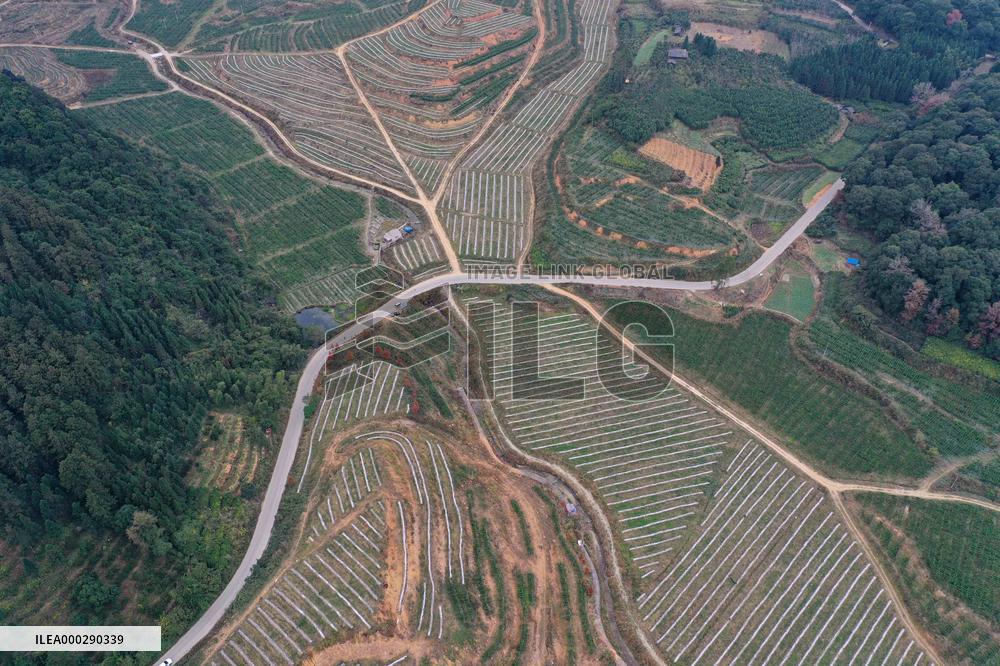 Winter Agricultural Products