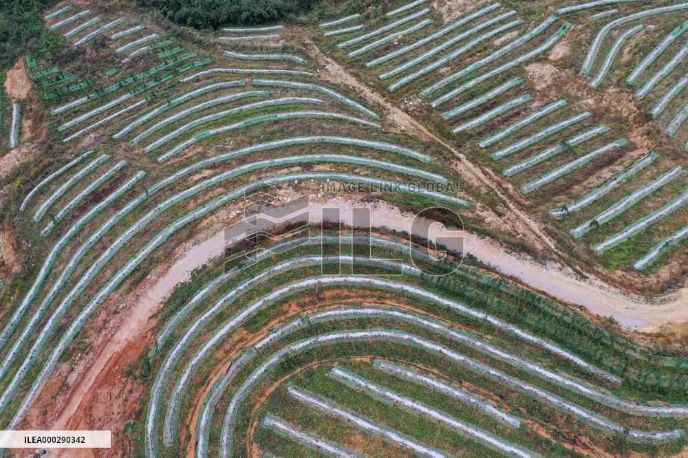 Winter Agricultural Products