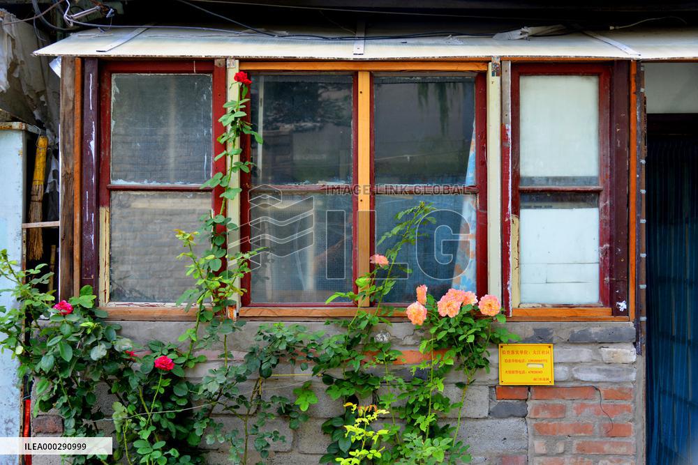 Beijing Hutong