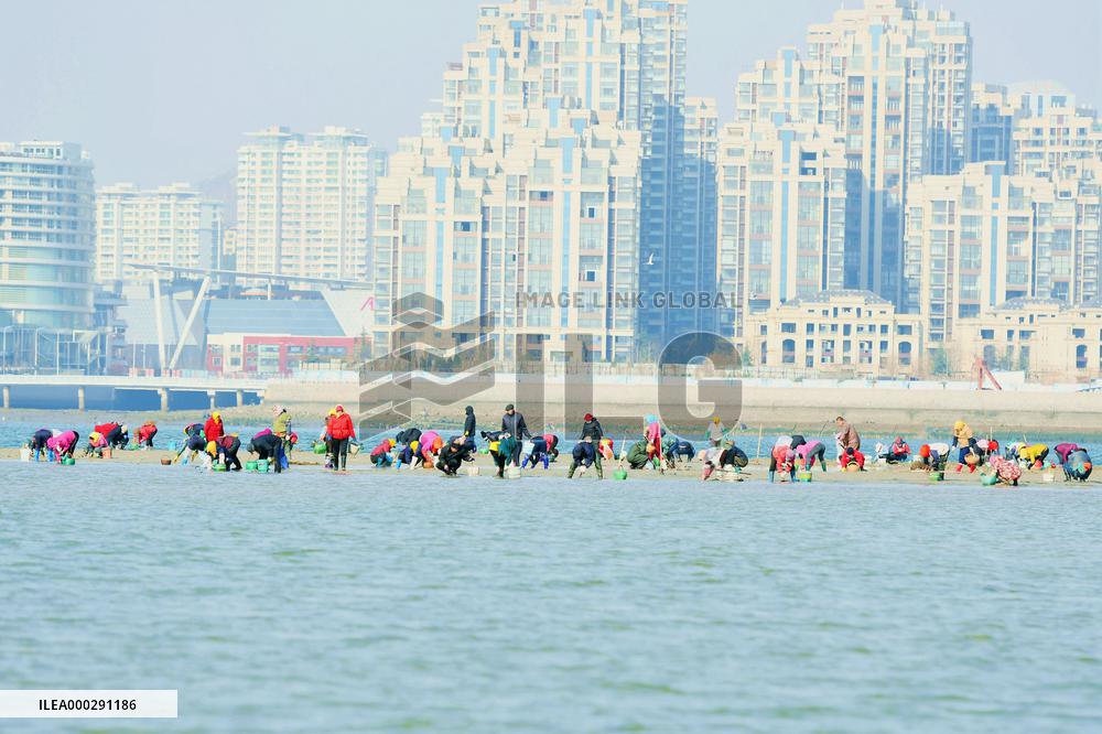 Beach After Low Tide