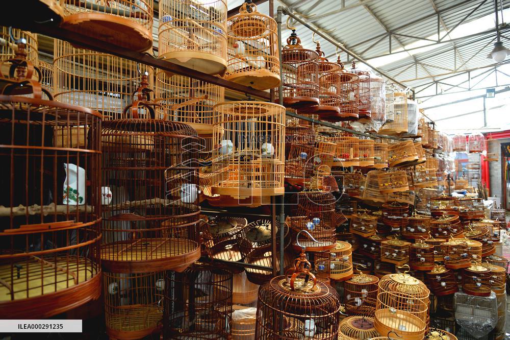 China Hutong Birdcage