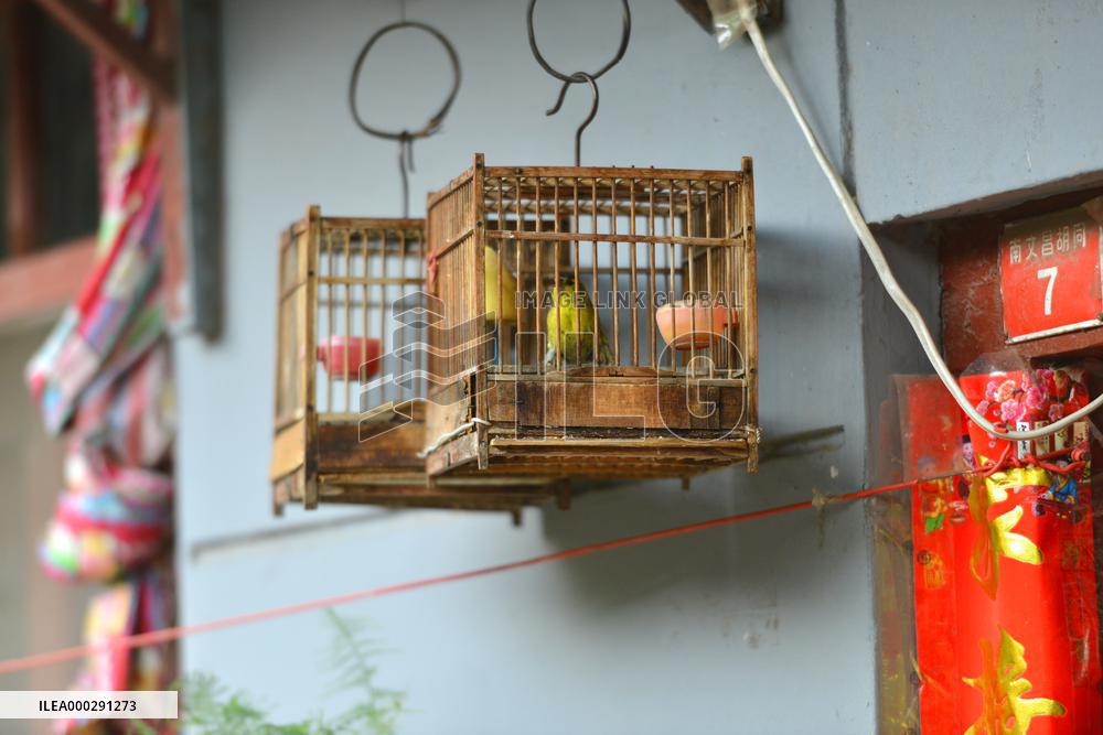China Hutong Birdcage