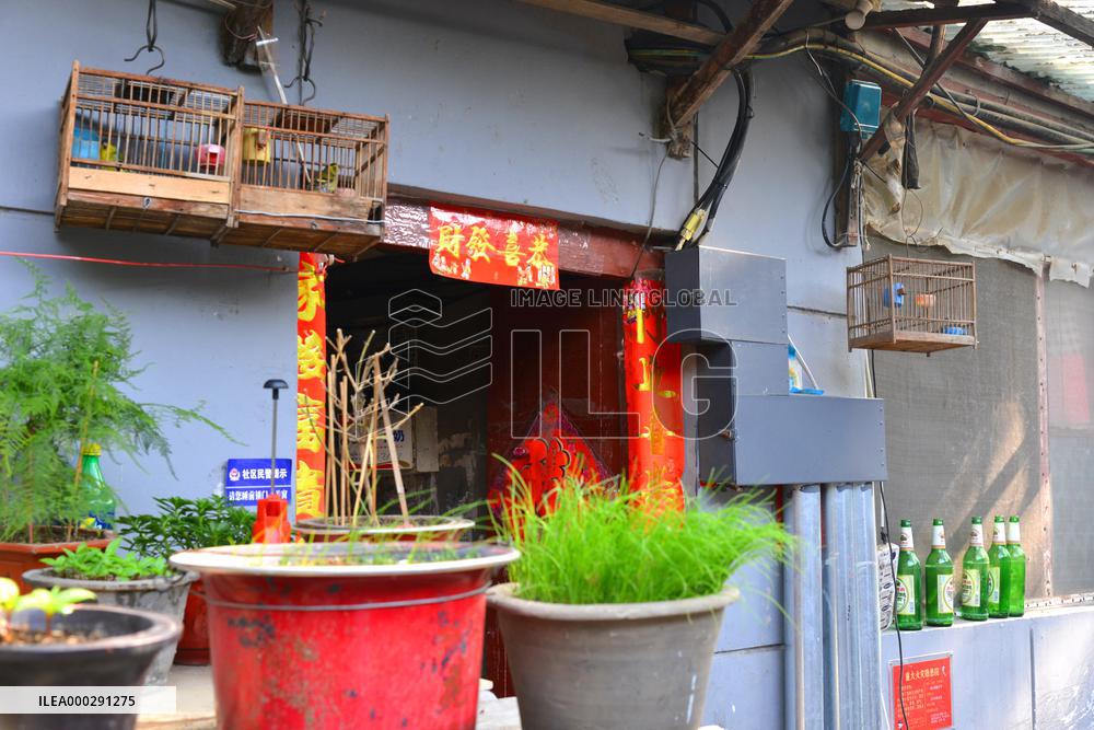 China Hutong Birdcage