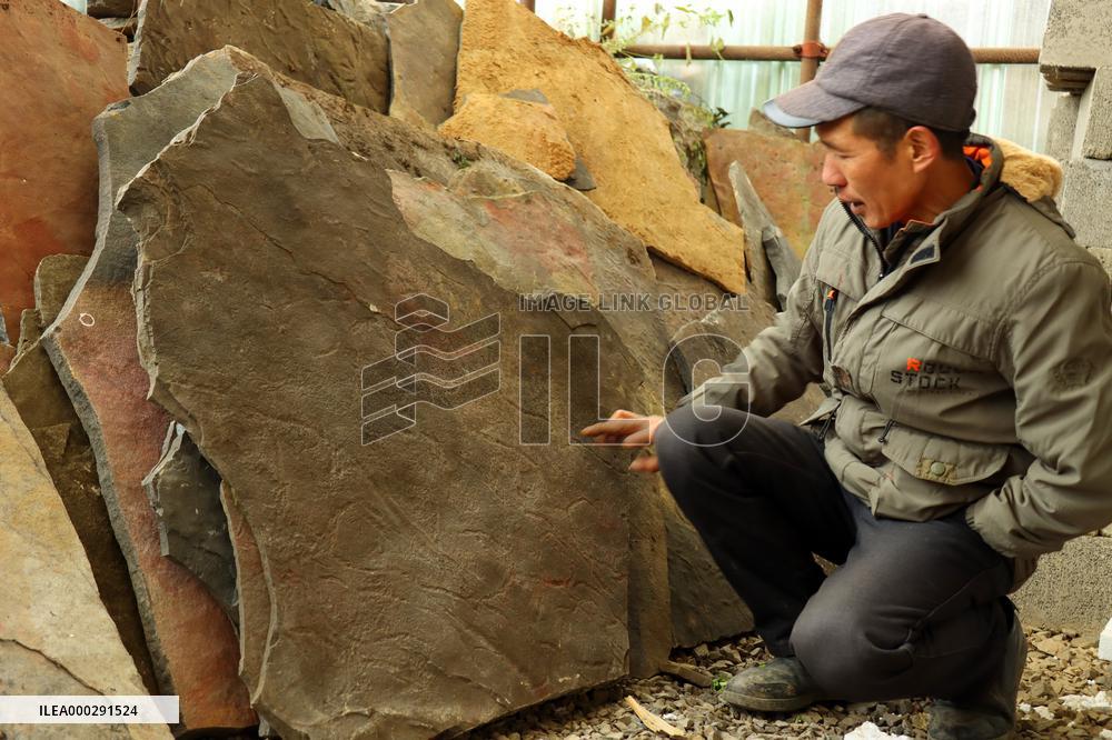Fossil Excavation