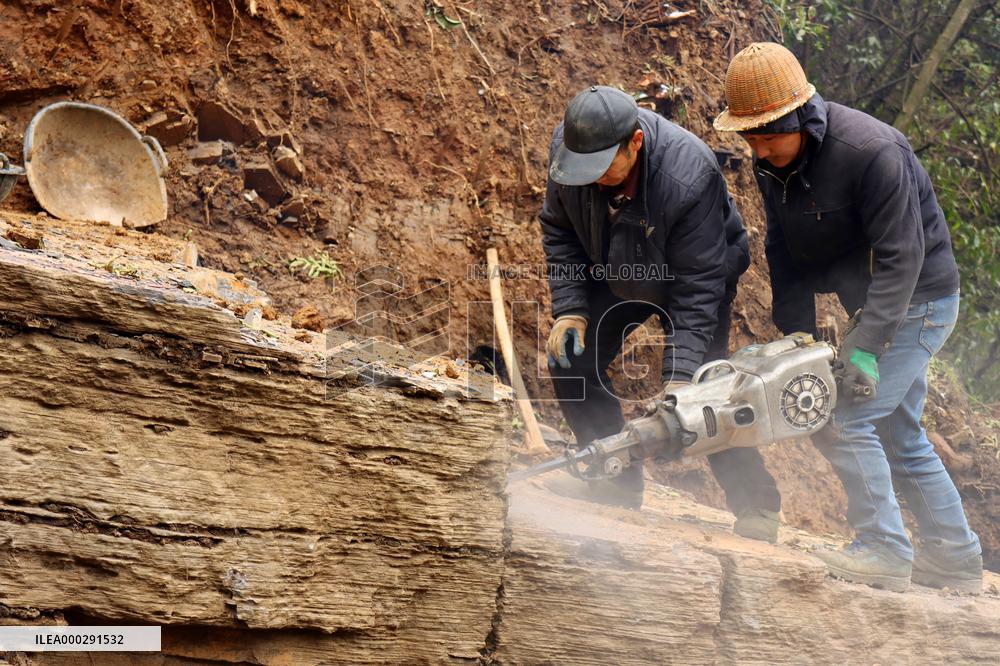 Fossil Excavation