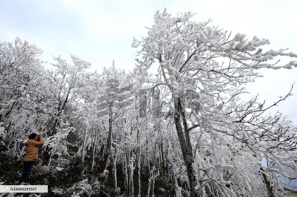 China Winter Rime Landscape
