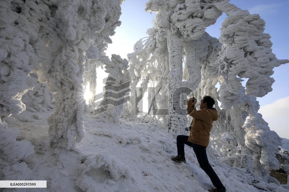 China Winter Rime Landscape